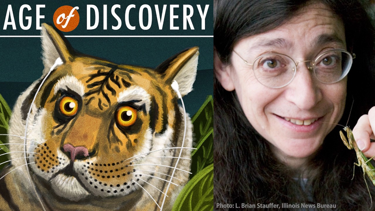 May Berenbaum interview August 2013