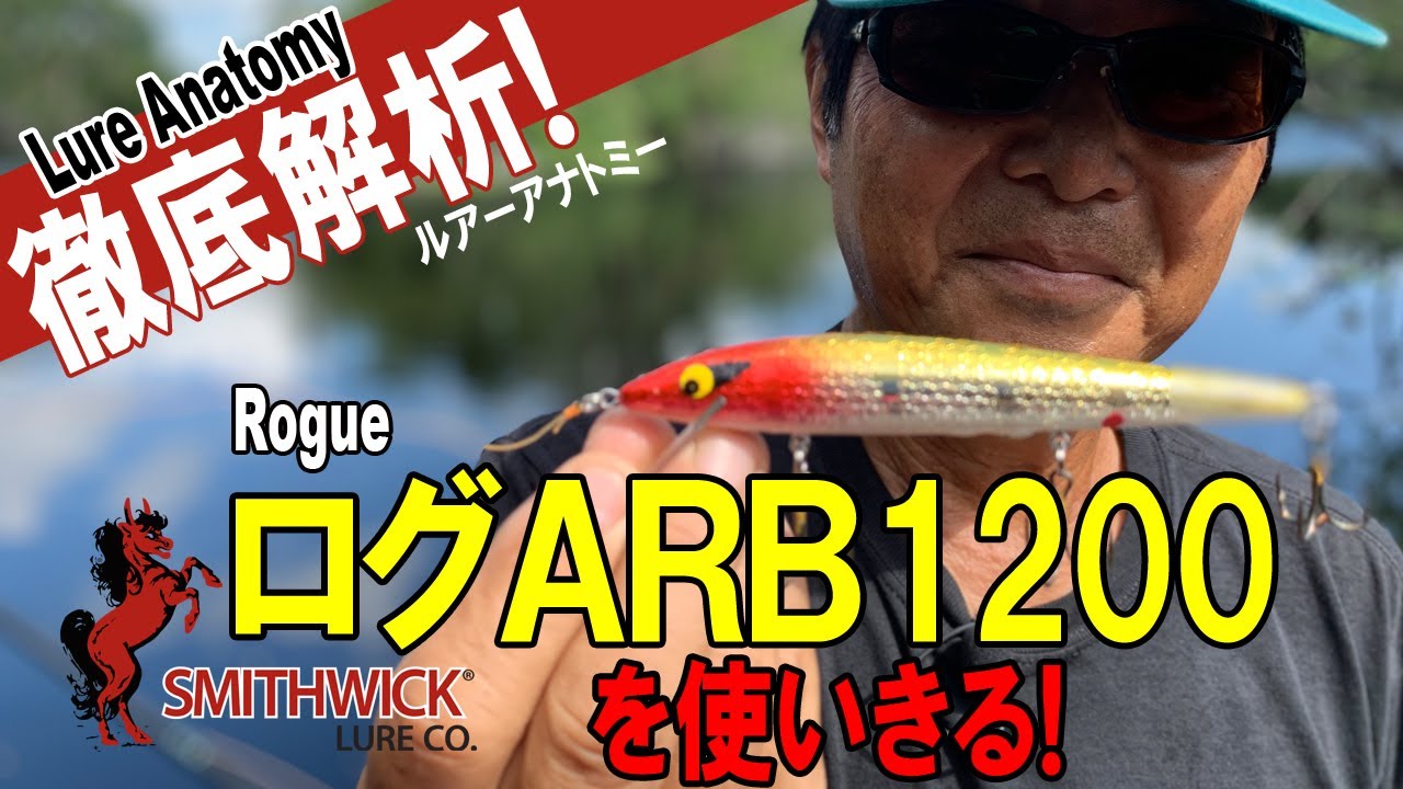 【ヒロ内藤流バス釣り】ログARB1200を使いきる！ルアー使い方徹底解析！【スミスウィック・ミノー】