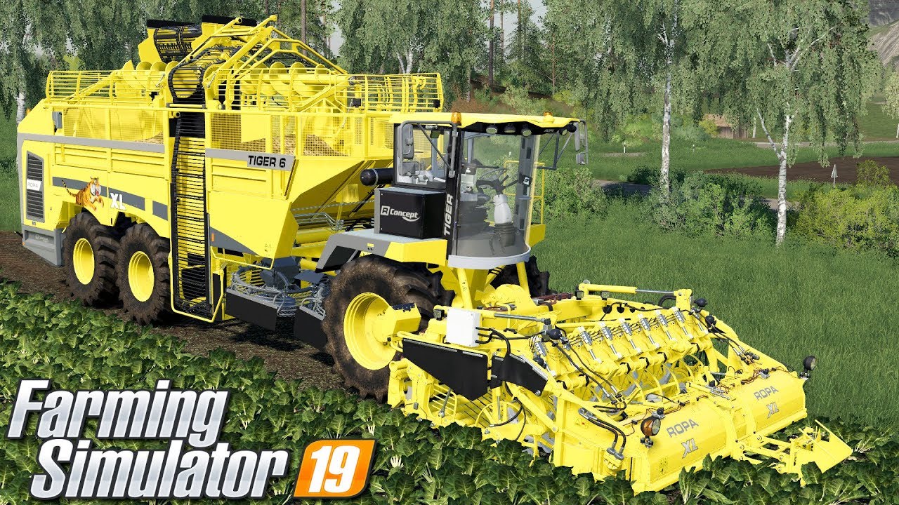 Kopanie buraków cukrowych - Farming Simulator 19 | #70