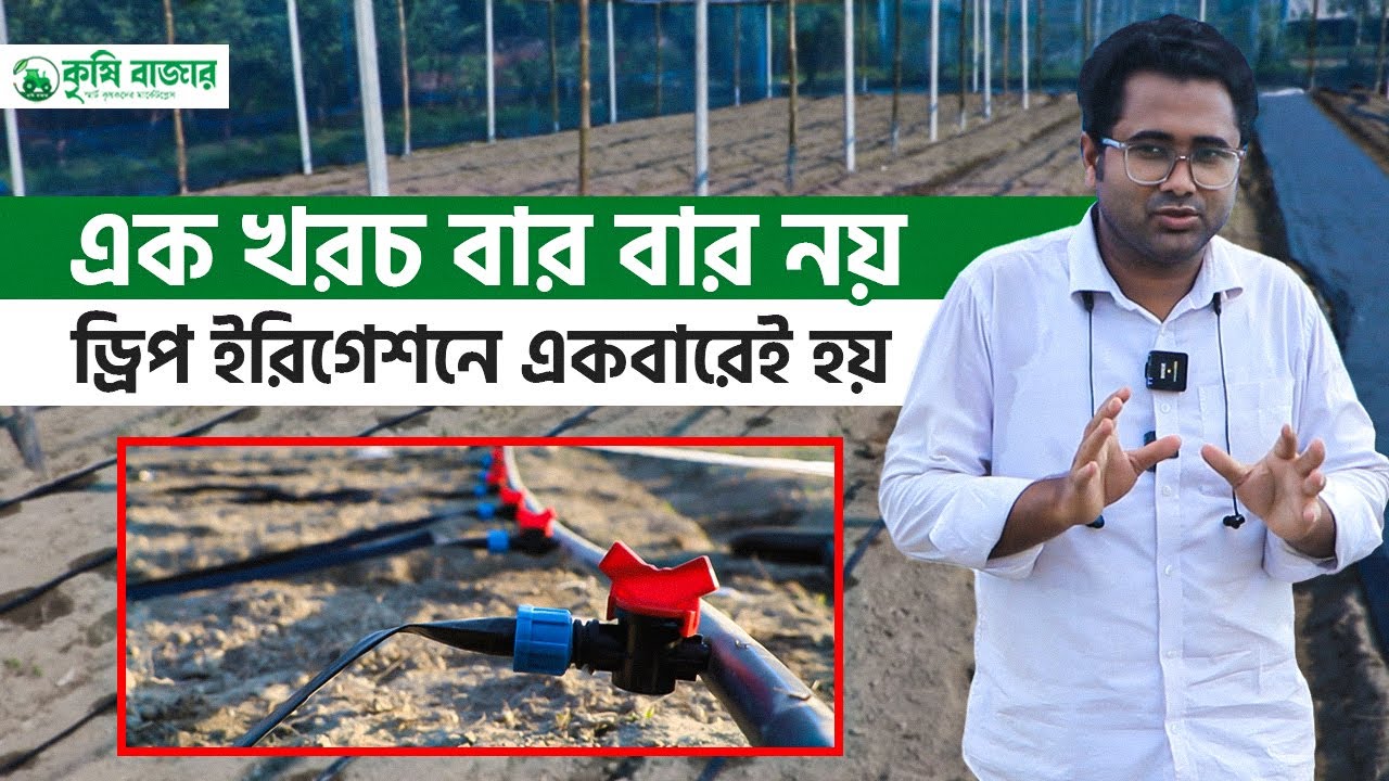 এক খরচ বার বার নয় ড্রিপ ইরিগেশনে তা একবারেই হয়