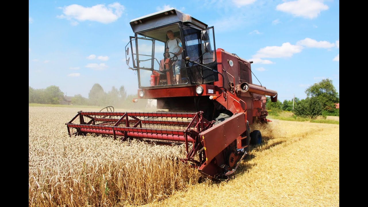 Żniwa 2020🌾 BIZON ZO56 w akcji ★ Pełny gaz✔