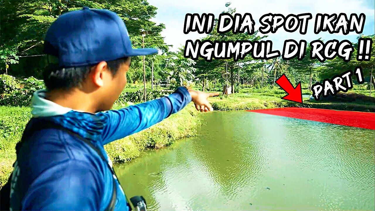 TIPS TRICK LURE & SPOT TERBAIK DI RCG  #part1