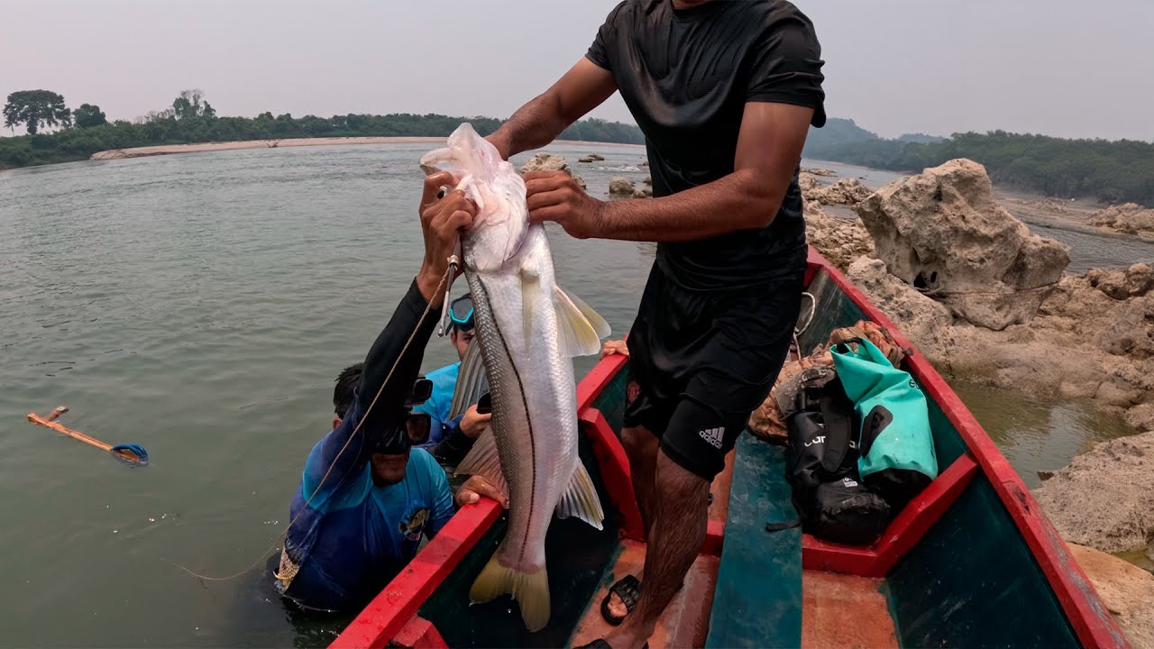 Pescamos un Robalo Enorme en el Río Usumacinta entre Guatemala-México y lo Cocinamos en Caldo