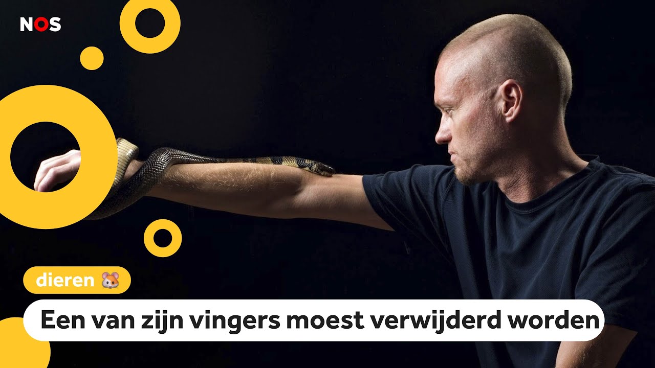 Man laat zich expres bijten door giftige slangen