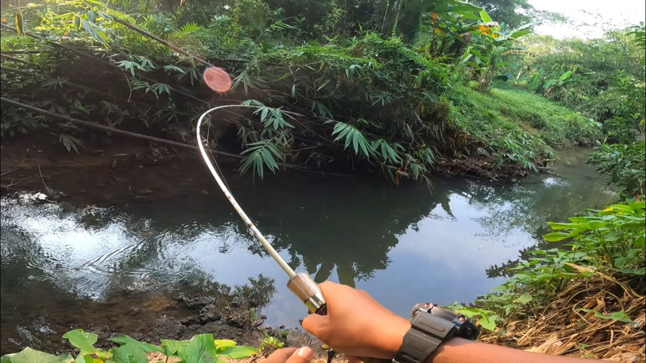 HAMPIR TAK PERCAYA DAPAT SEBANYAK INI .. !! CASTING DI SUNGAI KECIL PENUH IKAN GABUS