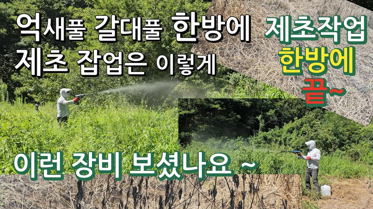억새풀 갈대풀 제초작업 잡초제거 한방에 끝