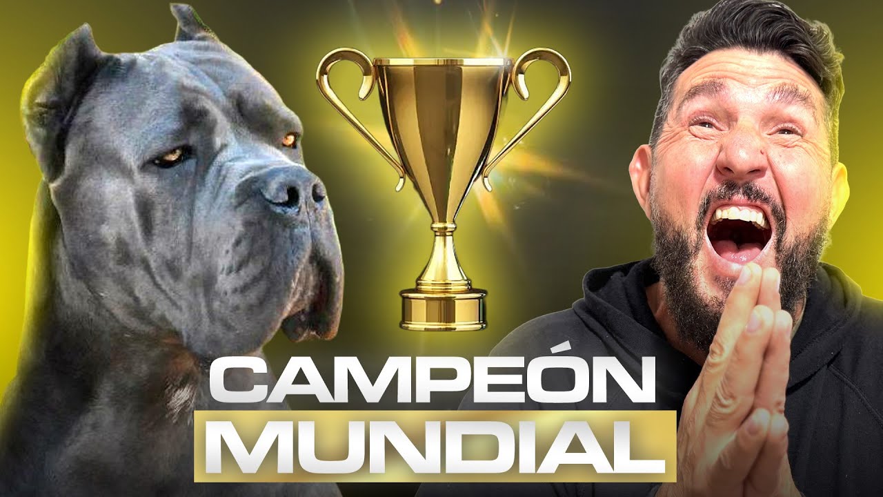 Juan Manuel Morato Cuenta la Historia del Campeón X-Man y todos sus secretos