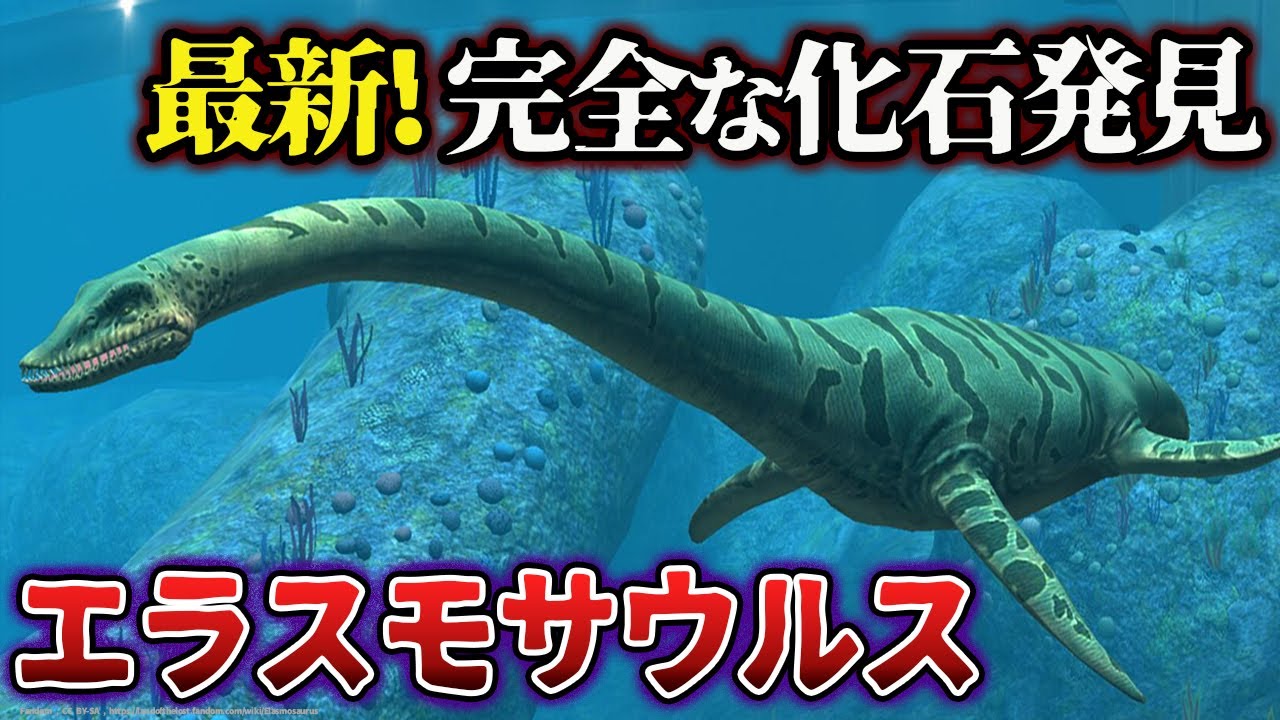 【ゆっくり解説】最新情報！エラスモサウルスのほぼ完全な化石が発見された！
