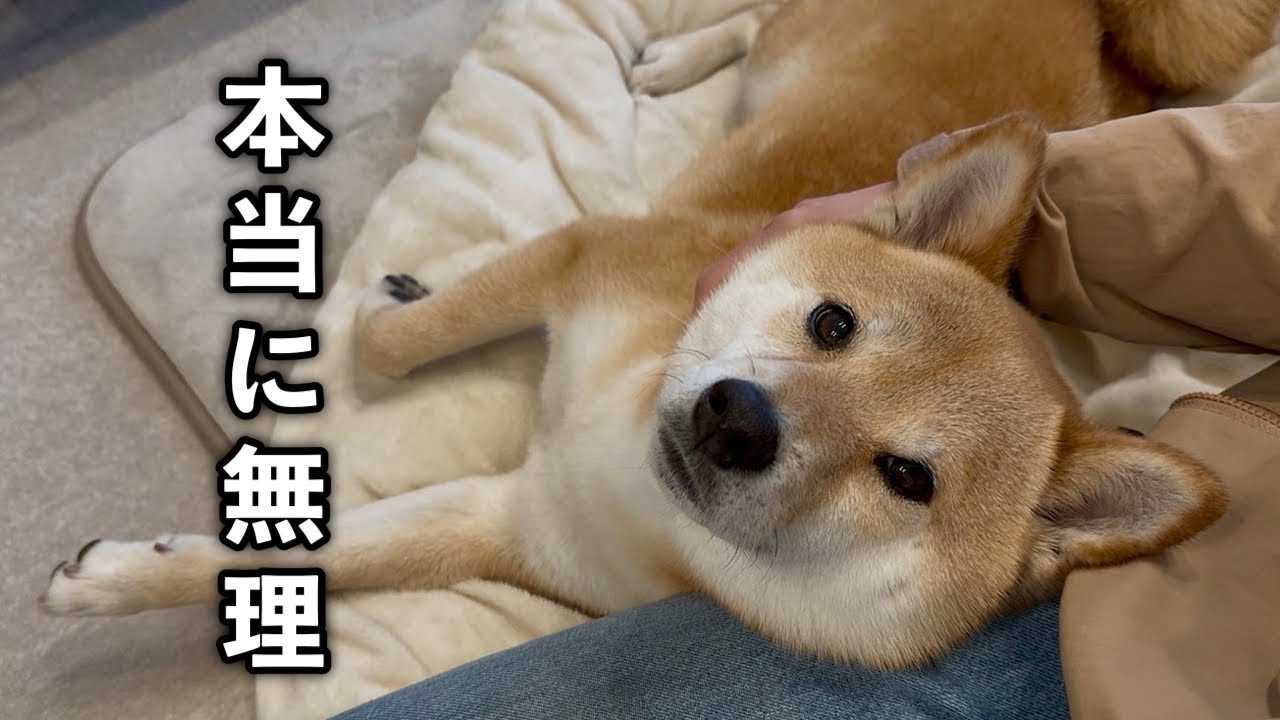 ショックすぎる出来事がありました