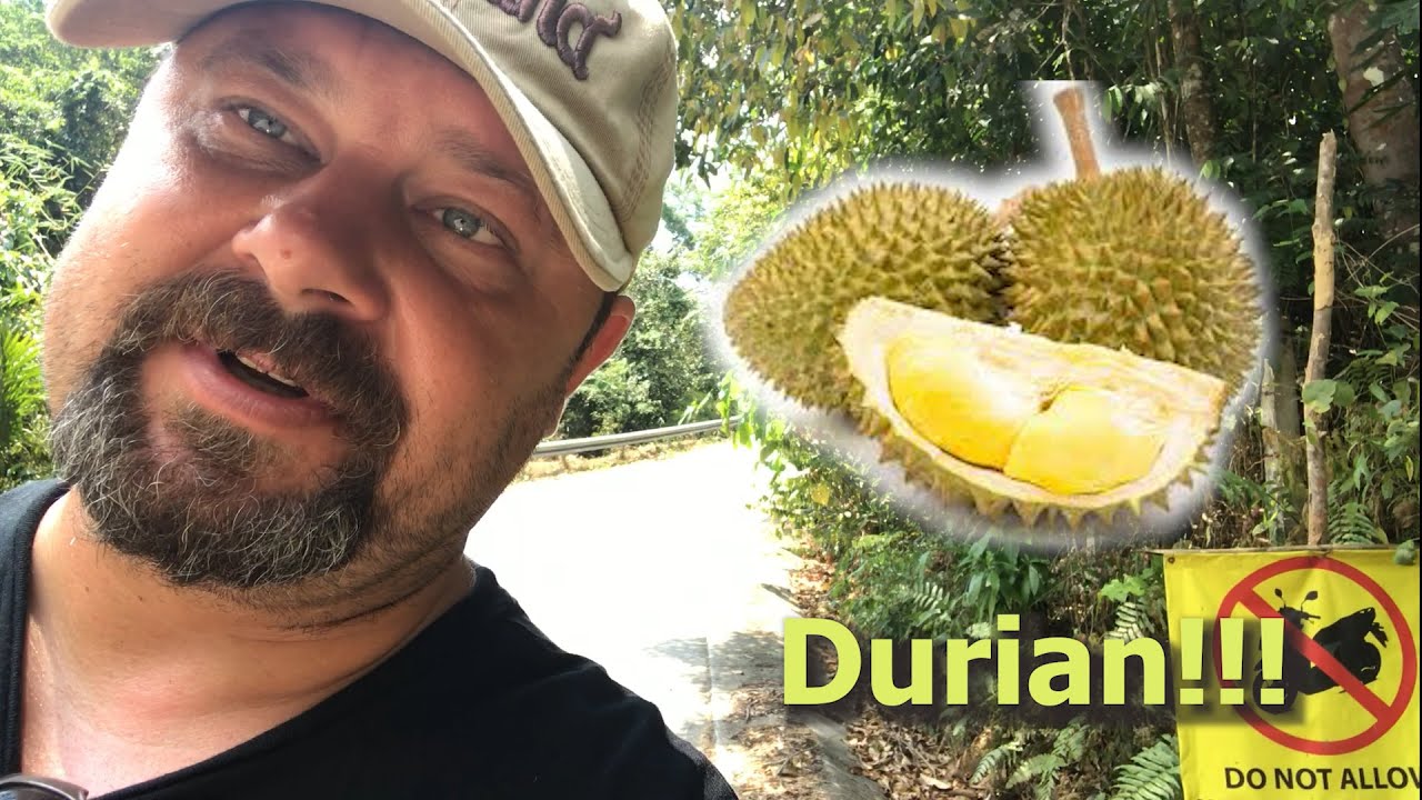 Jak rośnie DURIAN najbardziej śmierdzący owoc ŚWIATA ? 🤔