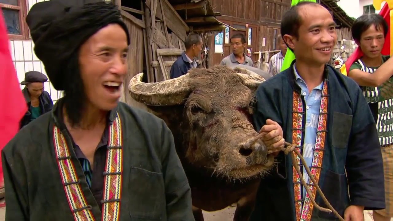 Chinas gr&uuml;ne Perle   Doku
