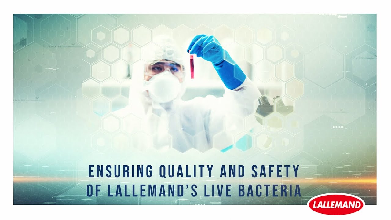 Ensuring quality and safety of Lallemand’s live bacteria