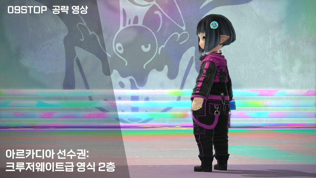 아르카디아 선수권: 크루저웨이트급 영식 2층 공략 영상 -『09STOP(영구정지)』