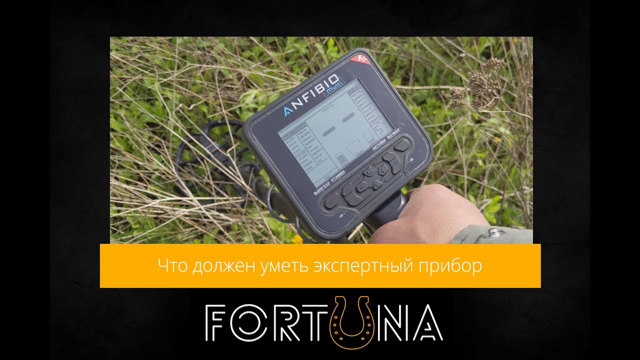 Что должен уметь прибор уровня Эксперт - Nokta Anfibio