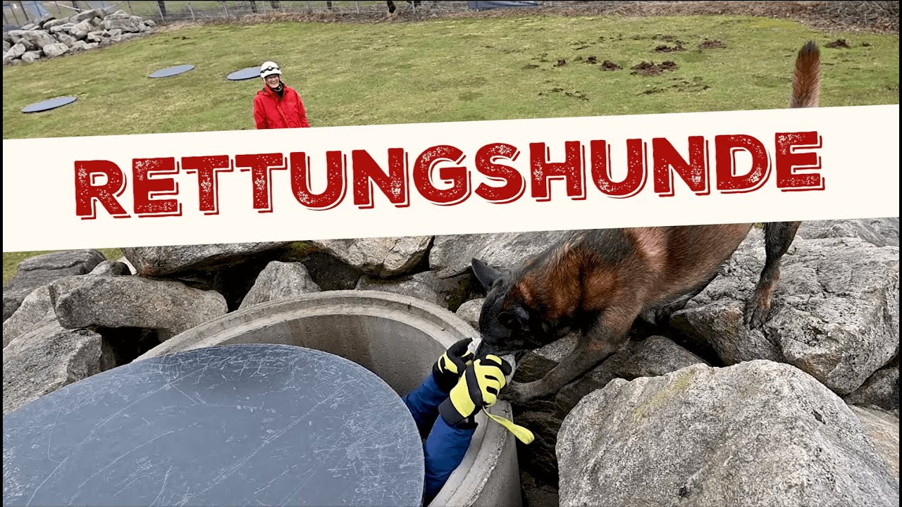 Internationale Rettungshunde Organisation IRO setzt auf SCHEUREDER