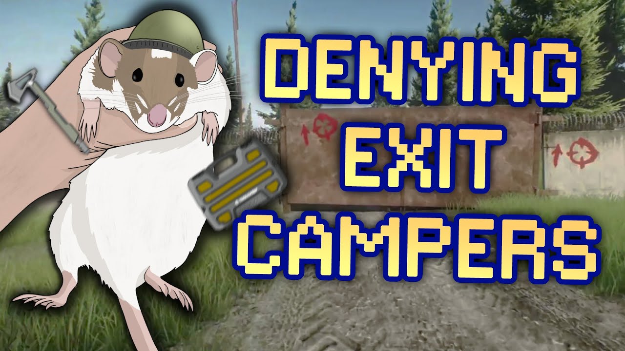 Punishing EXIT CAMPERS in Tarkov #6