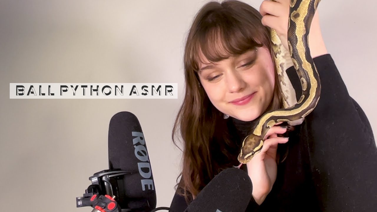 ASMR with my Ball Python 🐍 Slithering On The Microphone - Soft Spoken