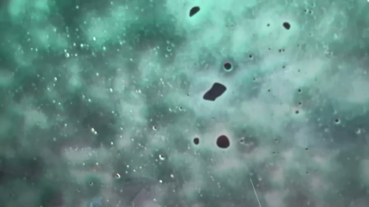 Our tesla first car wash