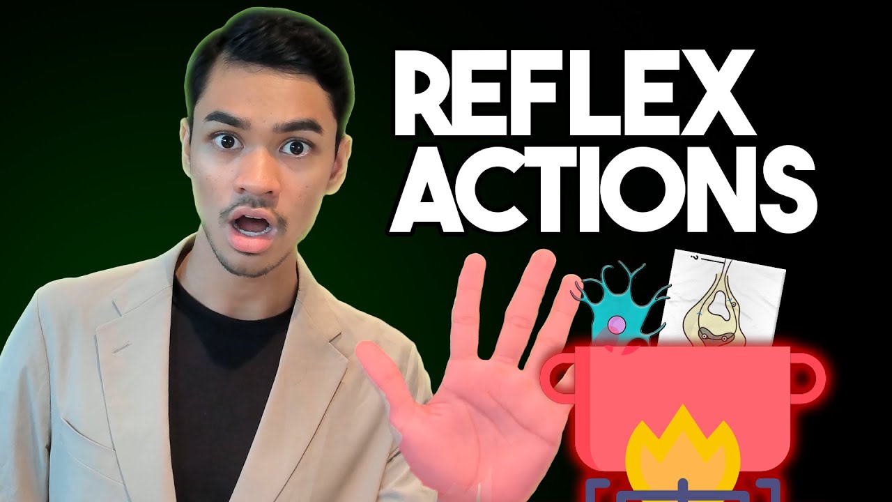 We Summarised Spinal Cord Reflex Action In 7 Minutes [Mini Crash Course]
