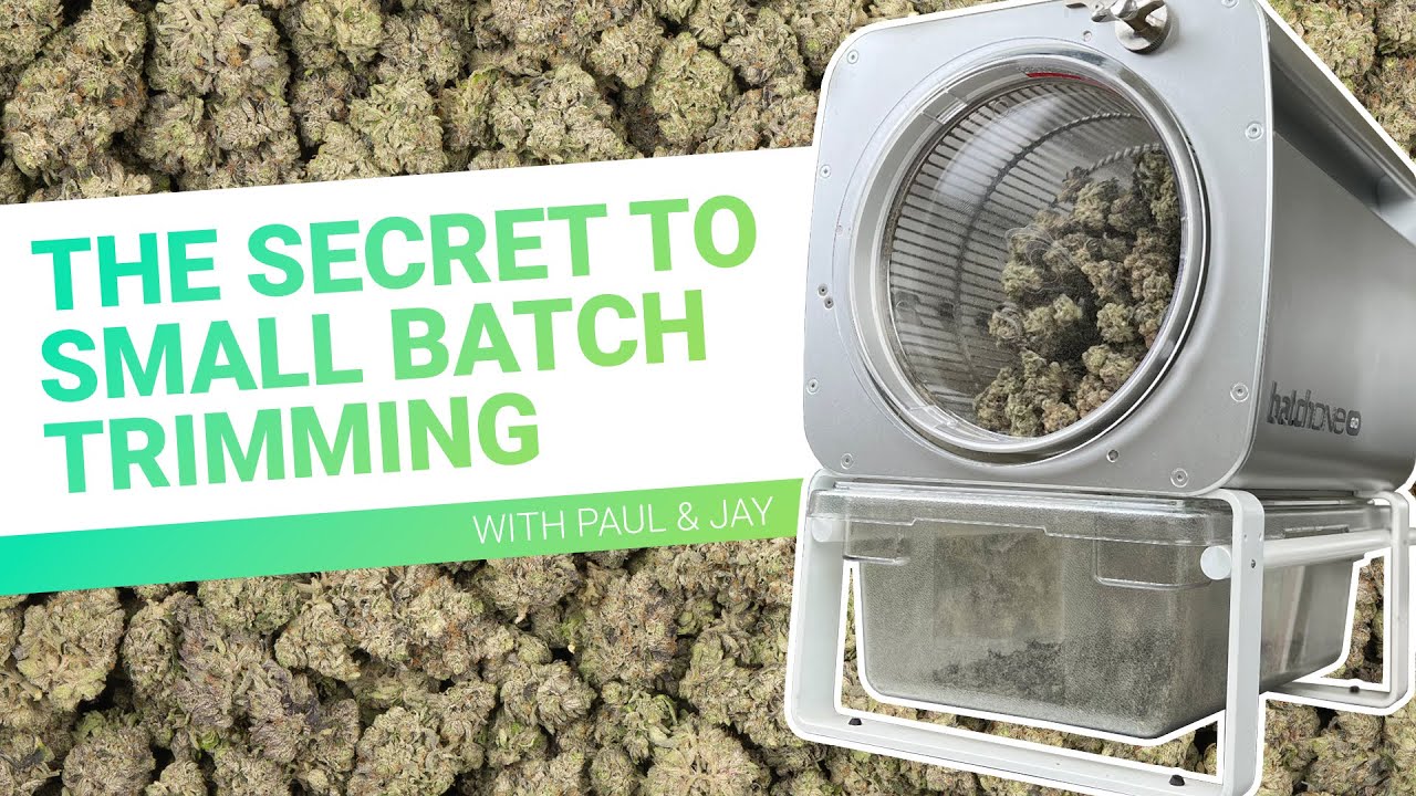 The Secret to Small Batch Dry Trimming