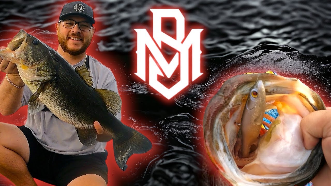 Bass Mafia Loaded Daingerous Swimbait 🎣