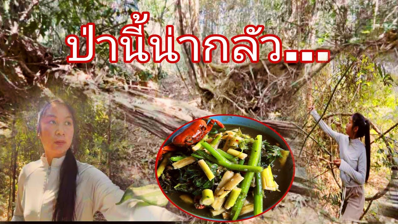 เขาป่าไปหาน่อไม้ป่านี้สาวพันใมก้าเขาคนเดียว