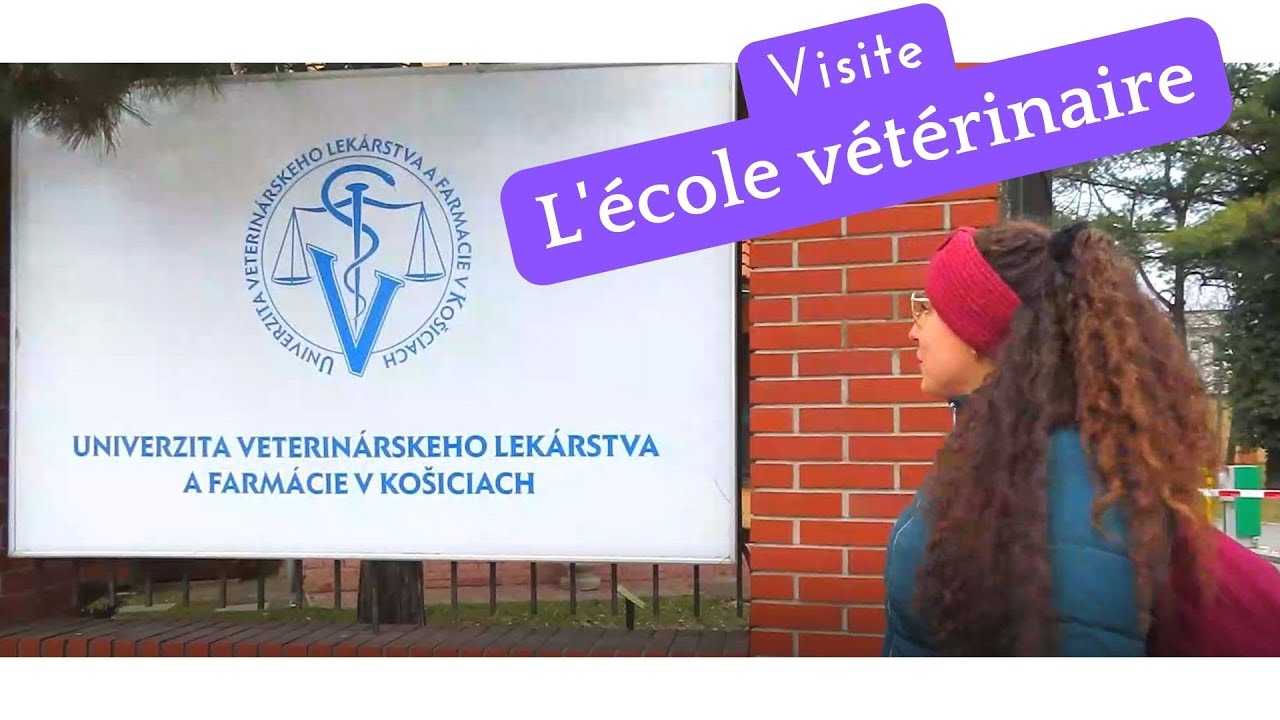 Visite de l'école vétérinaire de Kosice