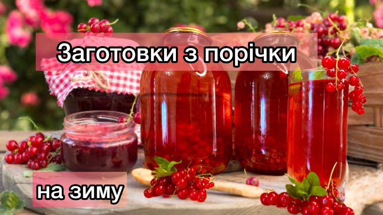 Ці заготовки з порічки на зиму здивують кожного !