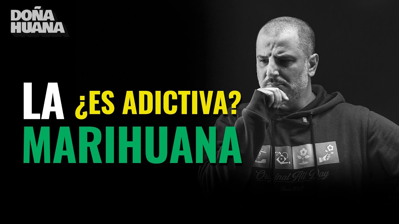 Marihuana vs tu cerebro: qui&eacute;n gana?