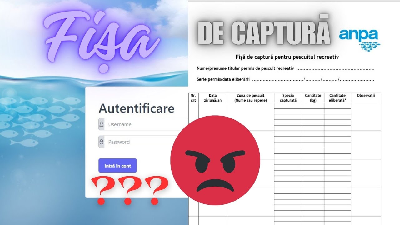 Fișa de captură. Unde o trimitem? Ne grăbim?