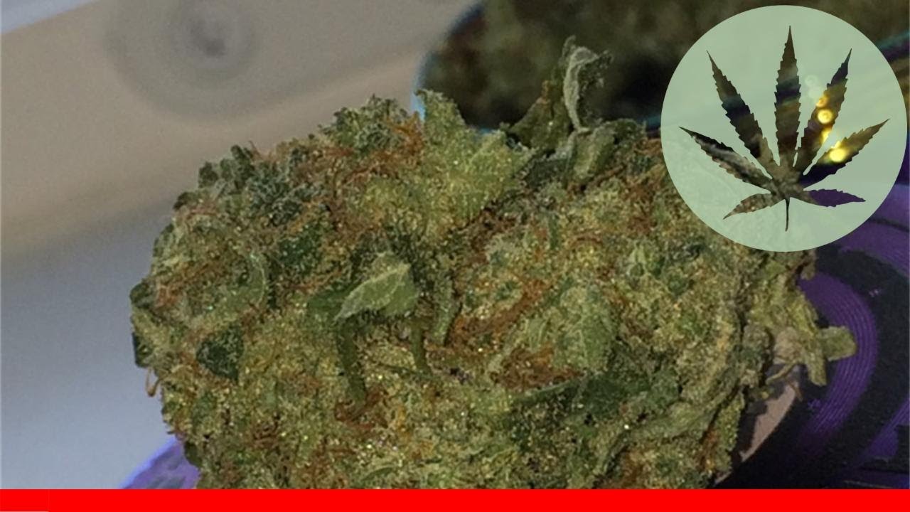 Dutchberry - All About This Strain