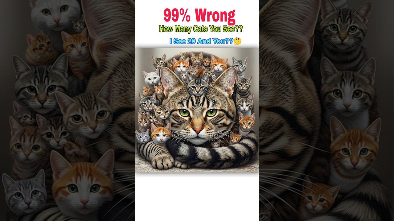 🔴99% Wrong ❌🤯 | How Many Cats You See??🤷🏻‍♂️ | I See 20 And You??🤔 Best Of Luck 🤞🏻🤗