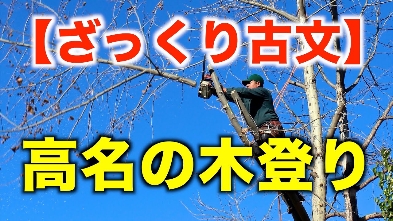 【授業解説】ざっくり古文・徒然草（高名の木登り編）