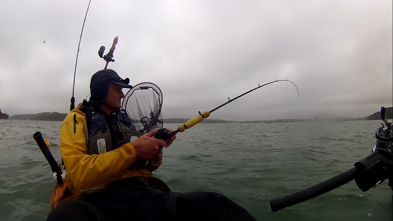 Kayak Fishing - COD, MACKEREL, SQUID, HERRING, WHITING, BULL HUSS - Multi Species Fishing