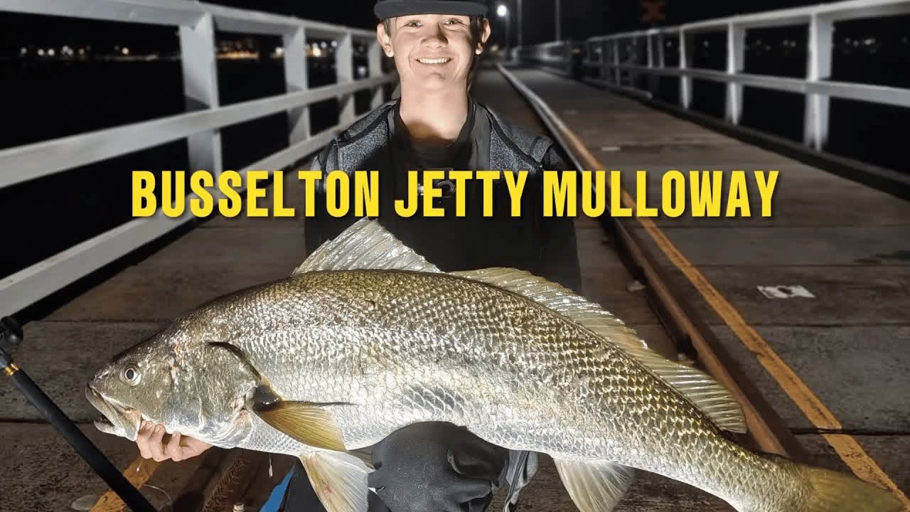 The Hunt For Big MULLOWAY Around Busselton Jetty