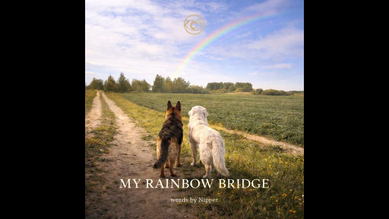 MY RAINBOW BRIDGE