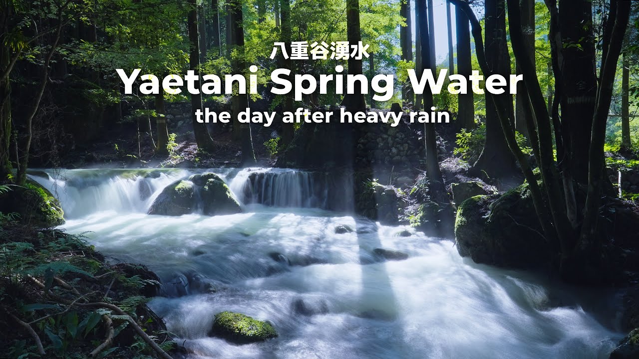 八重谷湧水 (大雨の翌日)（三重県）