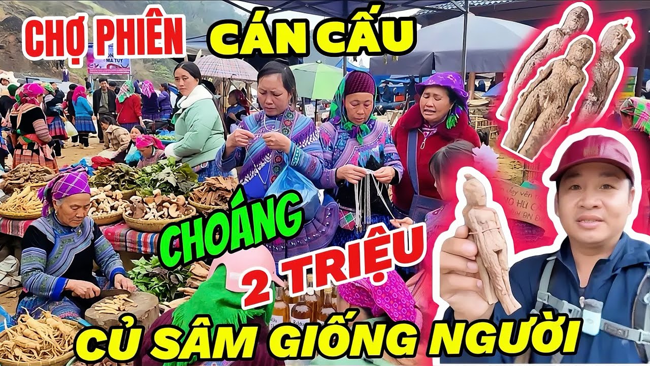 Choáng Củ Sâm Hình Người Giá Bán Trên Trời 2000k - Du Khách Săn Tìm Đặc Sản Địa Phương Chợ Cán Cấu