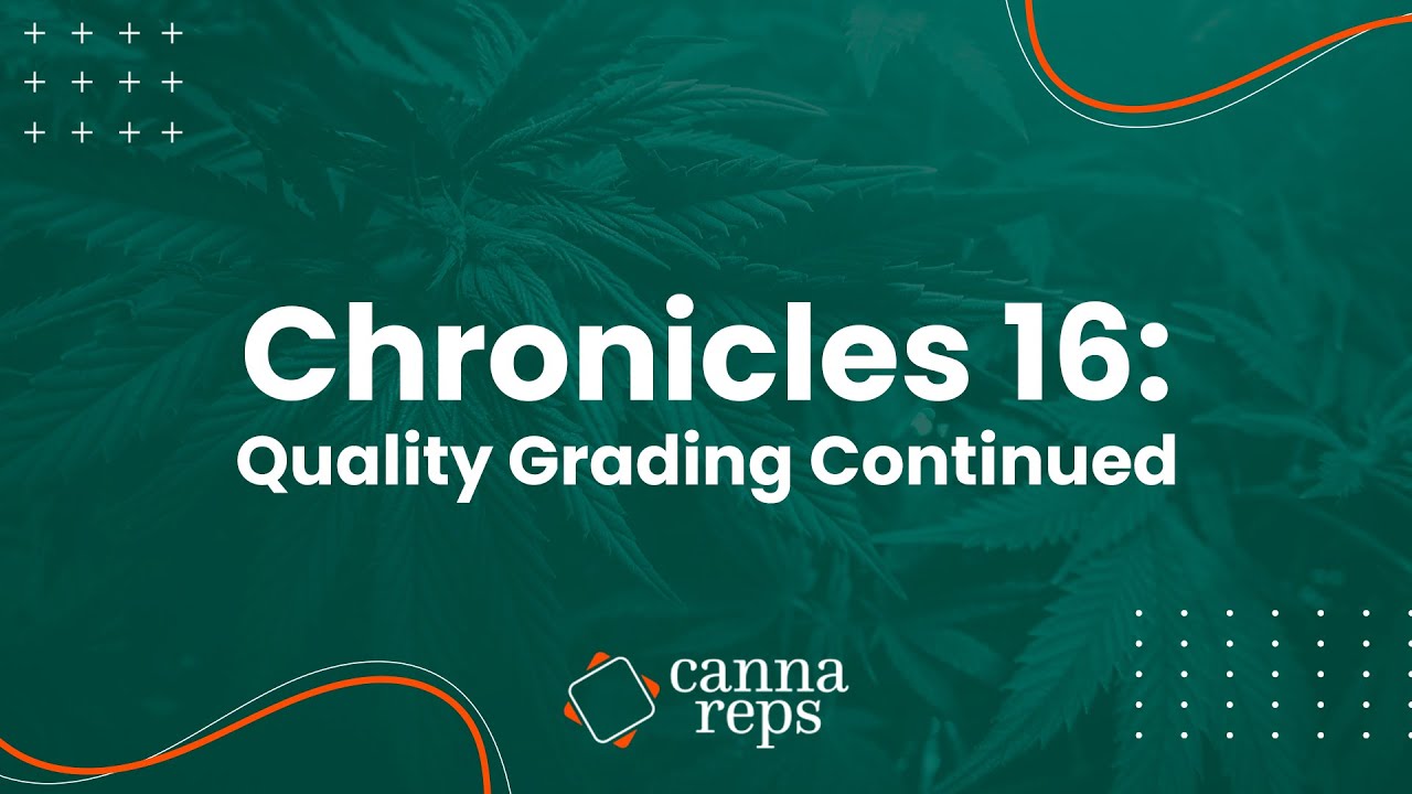 Cannabis Quality Grading Continued | Grading flower and concentrates | CHRONICLES 16