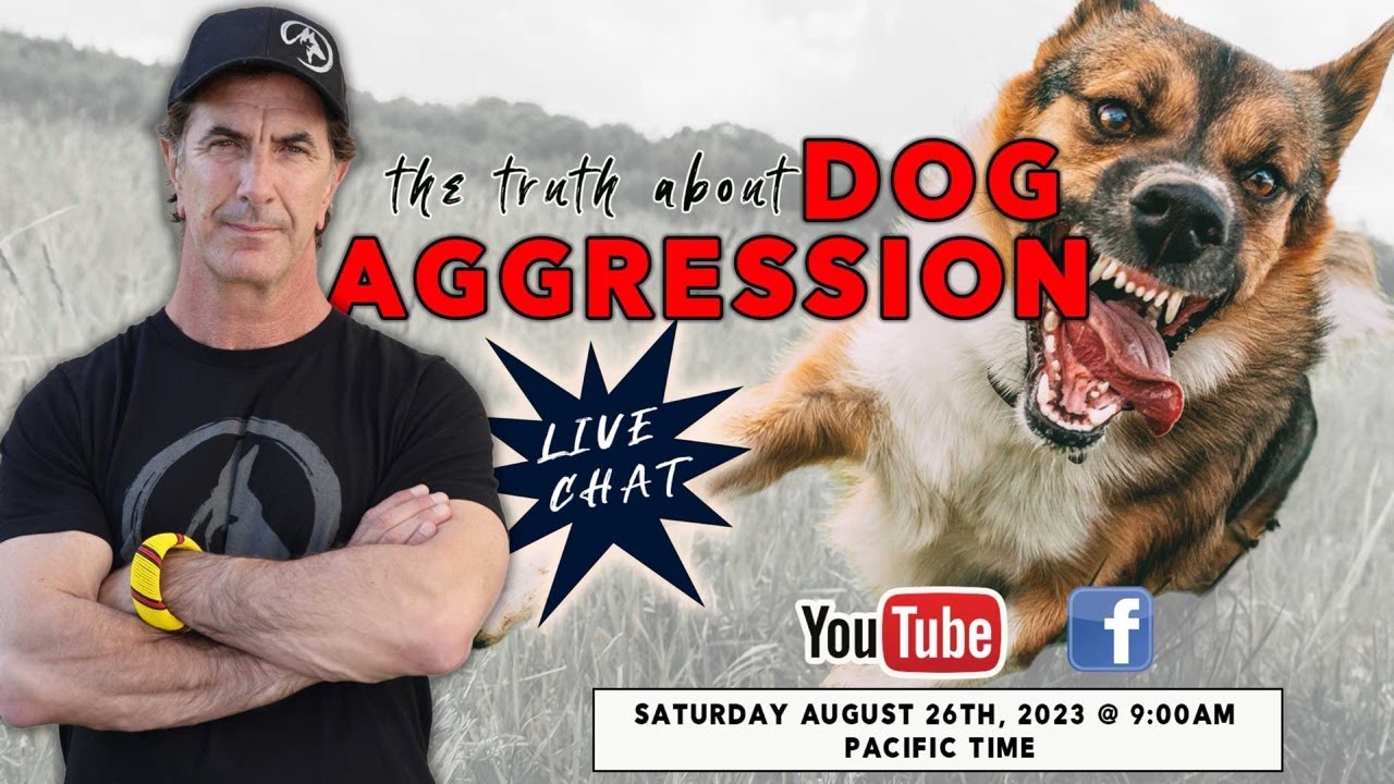 The Truth About Dog Aggression - LIVE