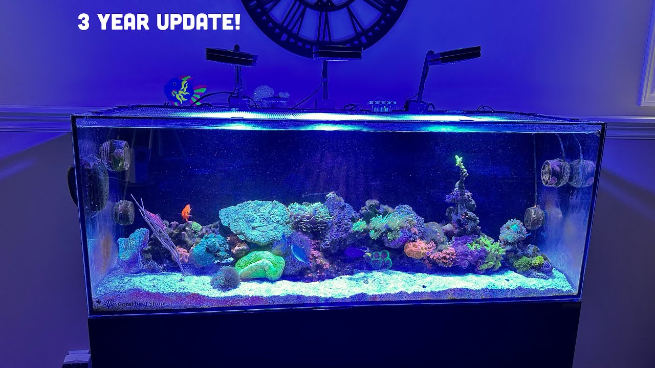 3 year anniversary of the waterbox 65.4 aio