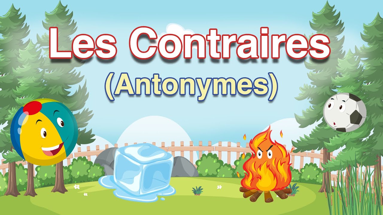**50+ Mots Contraires en Français (Antonyms)