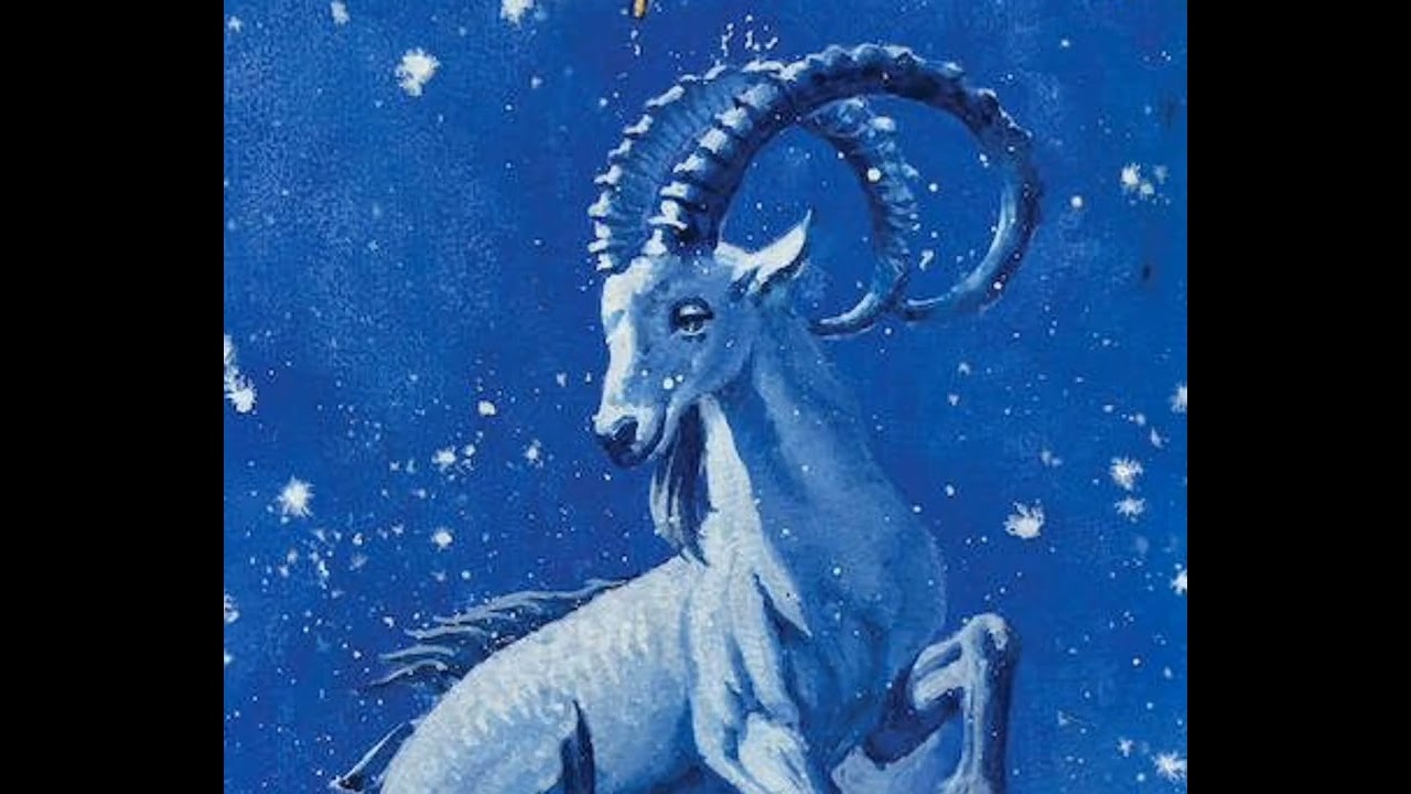 SOL em CAPRICÓRNIO ♑. 