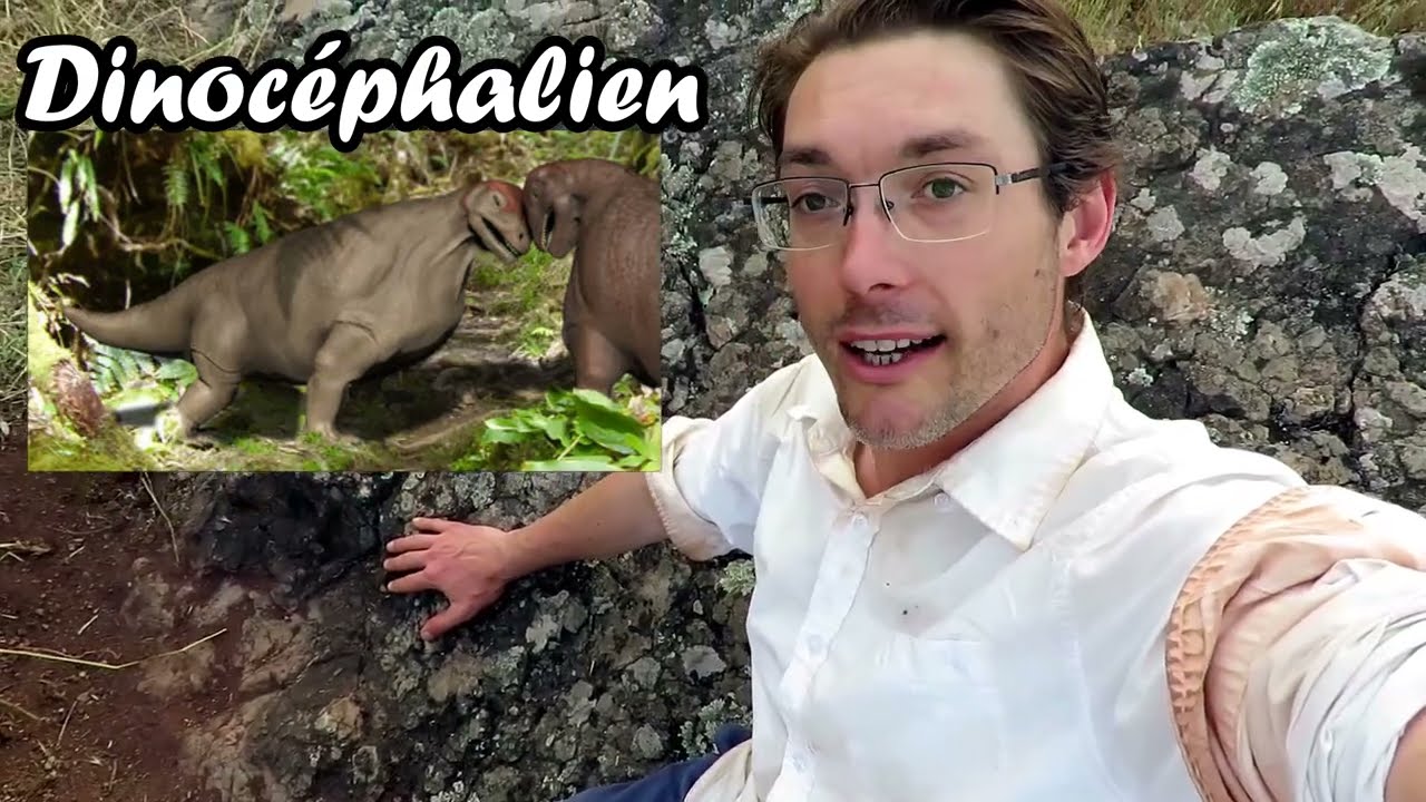 Le dinoc&eacute;phalien de France