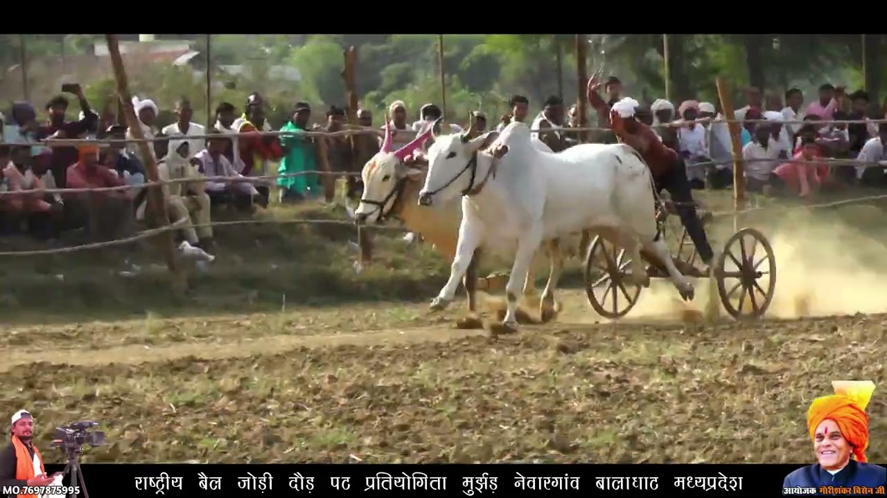 मुर्झड़ राष्टीय पट प्रतियोगिता | दूसरा दिन तीसरा कपल | Pat Pratiyogita Murjhad | Bailgada Sharyat