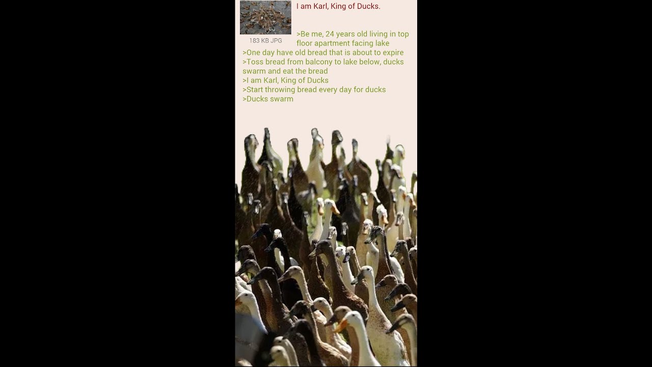 Karl, King of Ducks (greentext)