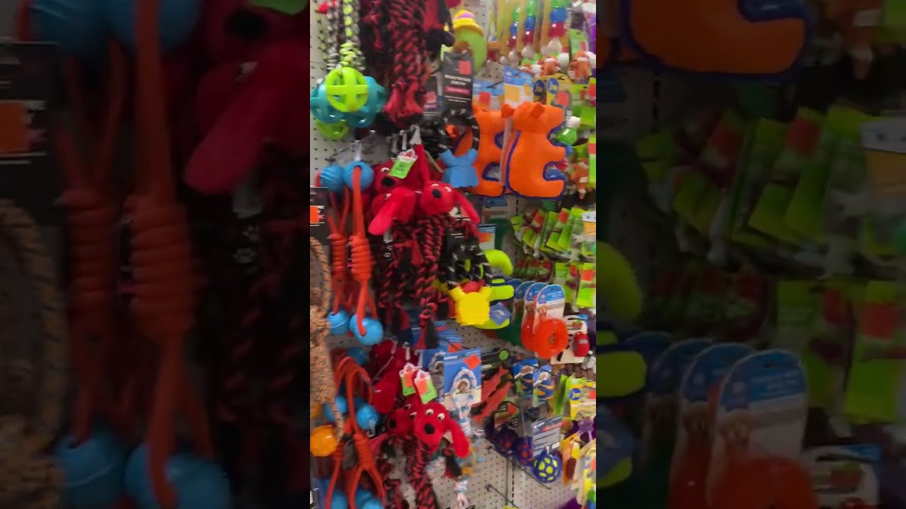 Ep 77: 🥰 Taking YOU shopping at “Ollie’s