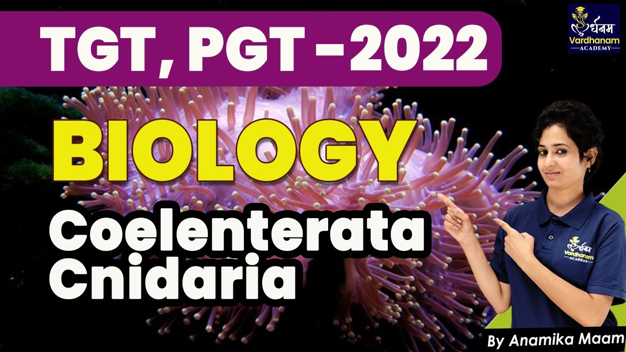 TGT / PGT Biology 2022 | Biology Coelenterate /Cnidaria | TGT | PGT Biology Classes By Anamika maam