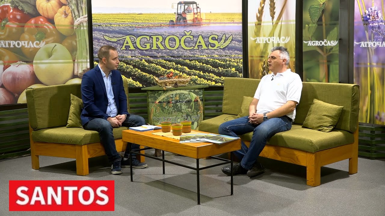 HIBRIDI ZA PREDSTOJEĆU SETVU INSTITUTA ZA KUKURUZ 