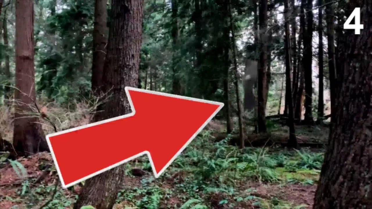 5 Forest Mythical Creature Monster caught on Camera - Paranormal TOP 5